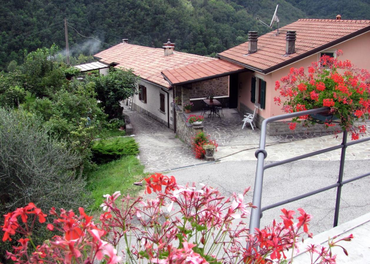 Agriturismo Il Giglio E La Rosa Villa Montale  Rom bilde