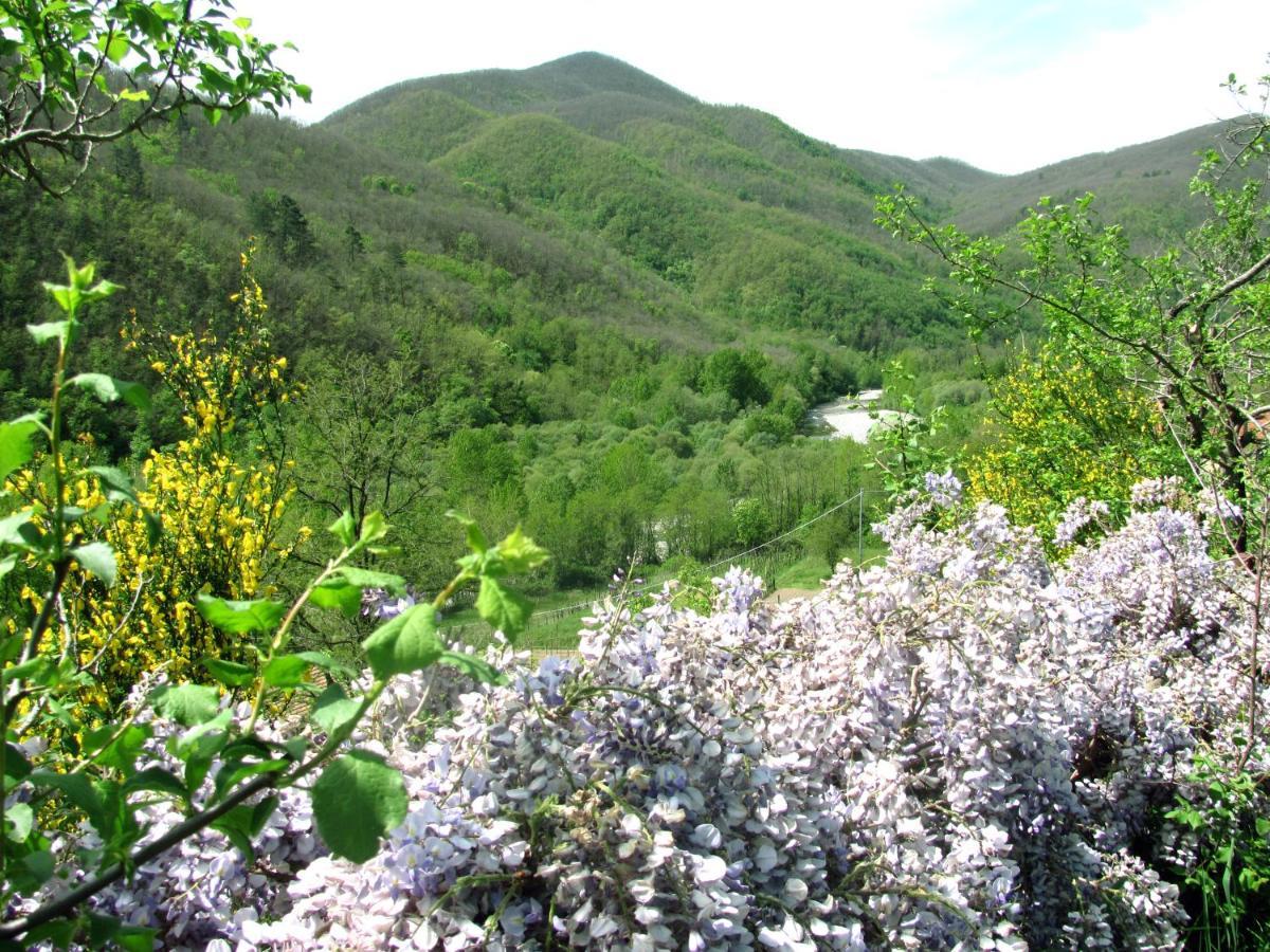 Agriturismo Il Giglio E La Rosa Villa Montale  Eksteriør bilde